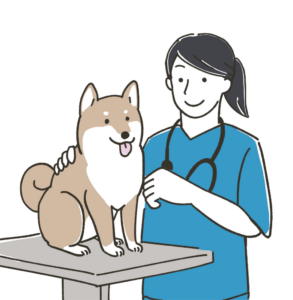 Avatar Dottoressa Veterinaria Dottoressa Medico Veterinario