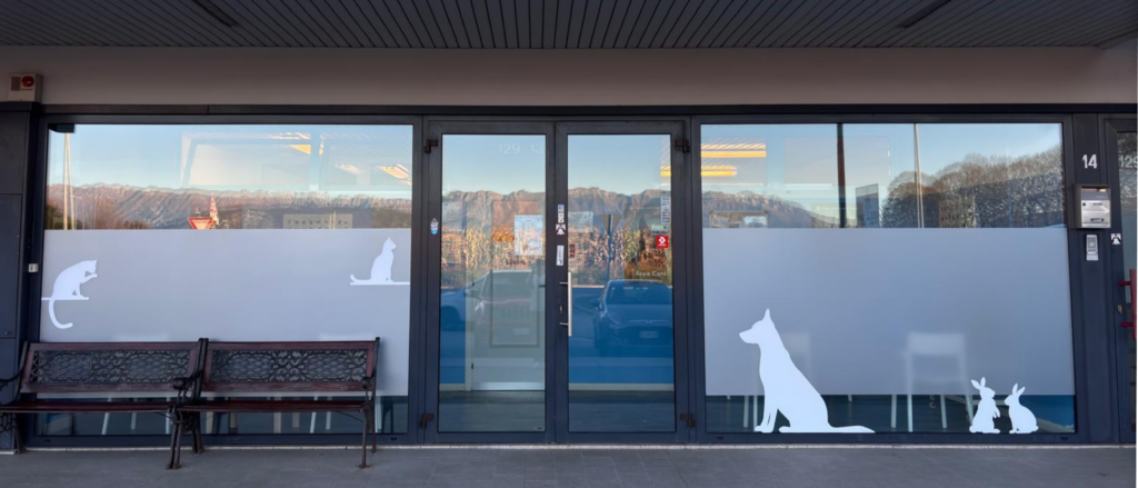 clinica veterinaria a Reana del Rojale per tutti i clienti della regione Friuli-Venezia Giulia
