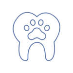 Odontostomatologia Icona del servizio di Odontostomatologia