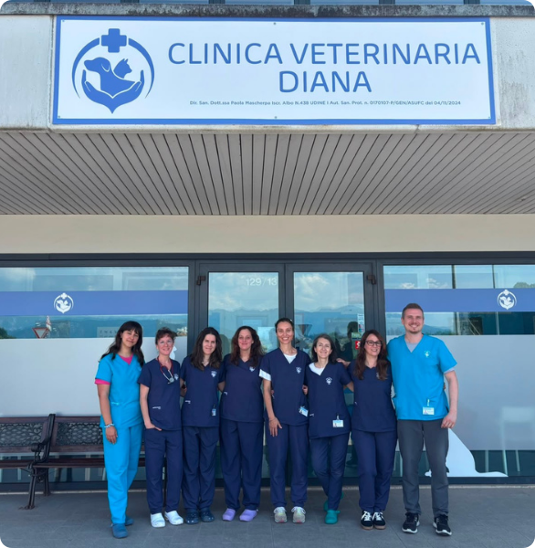 Il team della Clinica Veterinaria Diana Il team della Clinica Veterinaria Diana a Reana del Rojale - Udine